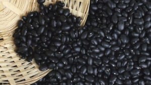 constituyen-indicador-calcular-Cuba-CC_CYMIMA20151231_0003_13