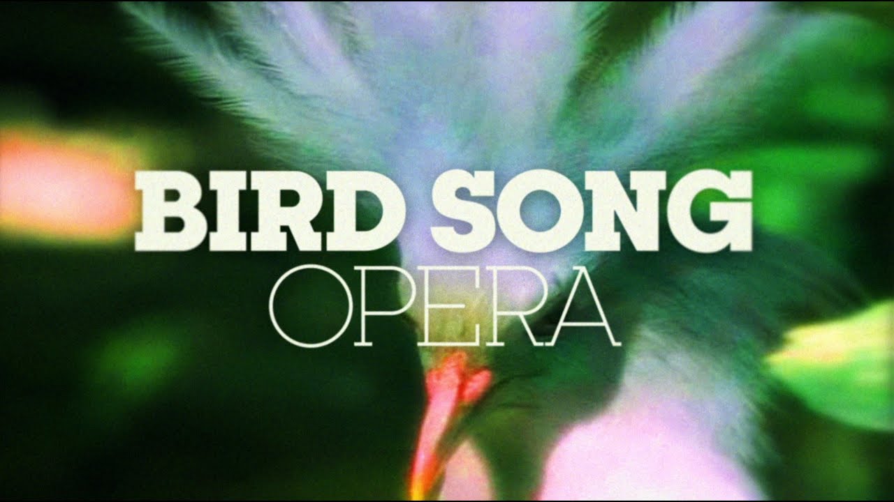 bird-song-opera-am-rica-2-1